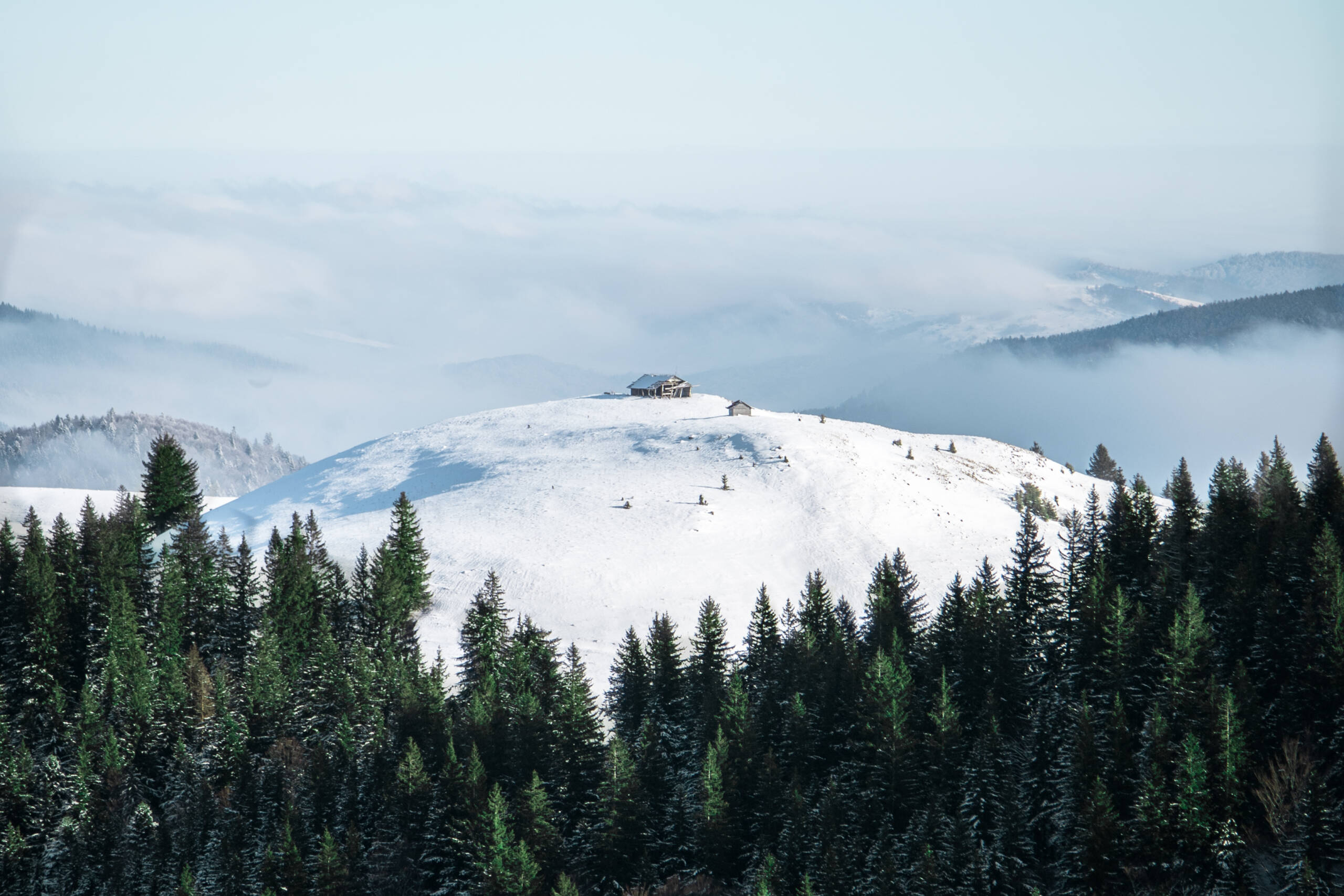 Above the Clouds